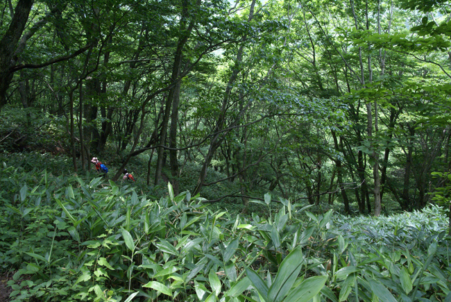 f0214649_592765.jpg