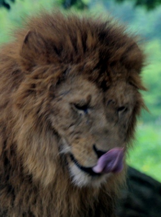 d0163550_19582737.jpg