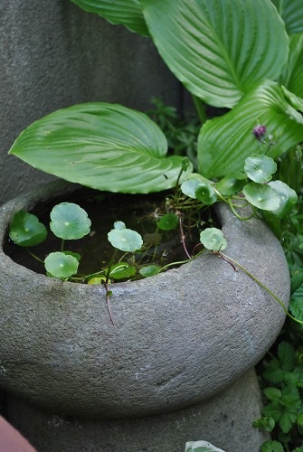 e0159050_23503834.jpg