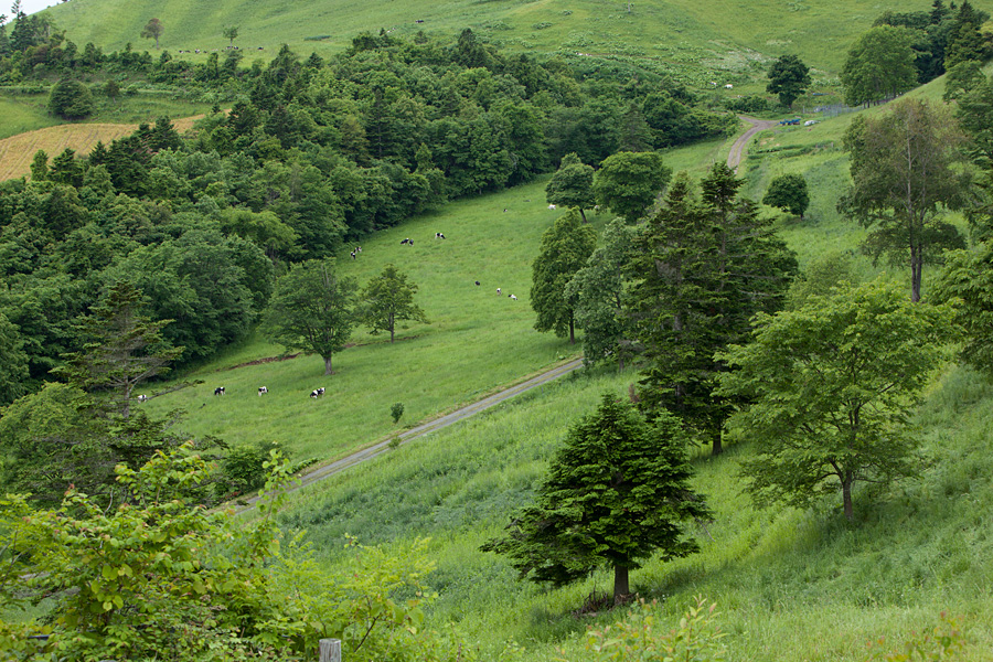 f0054366_12334918.jpg
