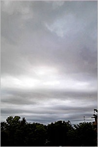a0050669_17541499.jpg