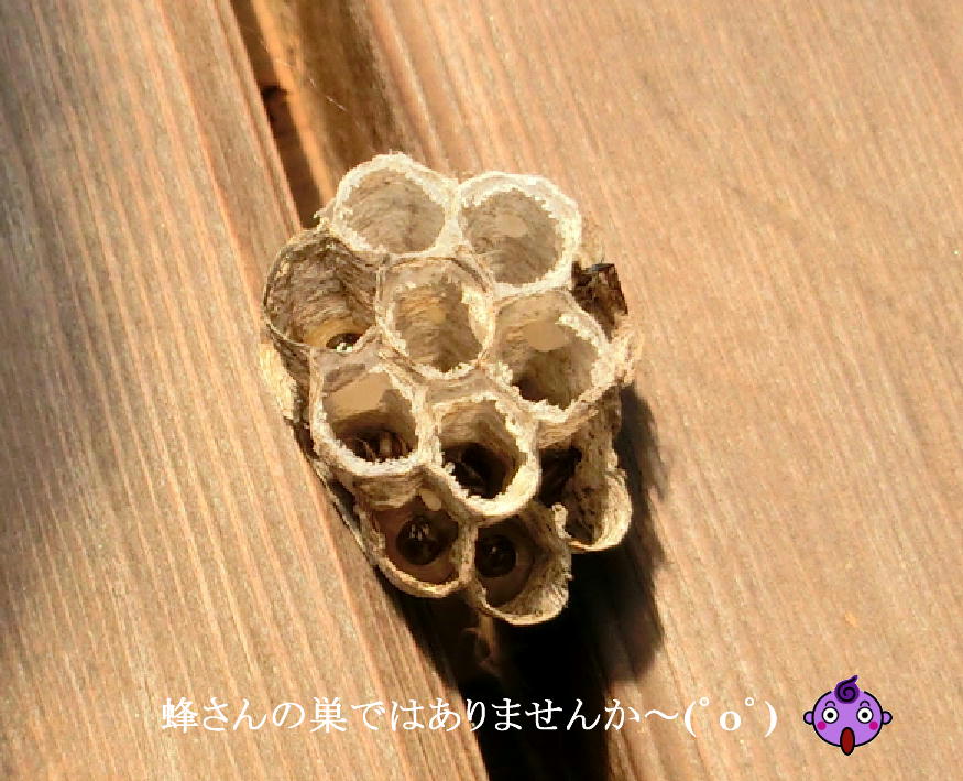 d0216270_2138450.jpg