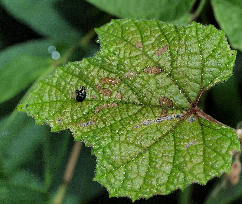 b0070071_730668.jpg