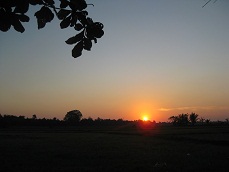 b0200971_847108.jpg