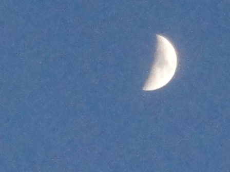 d0109373_3395338.jpg