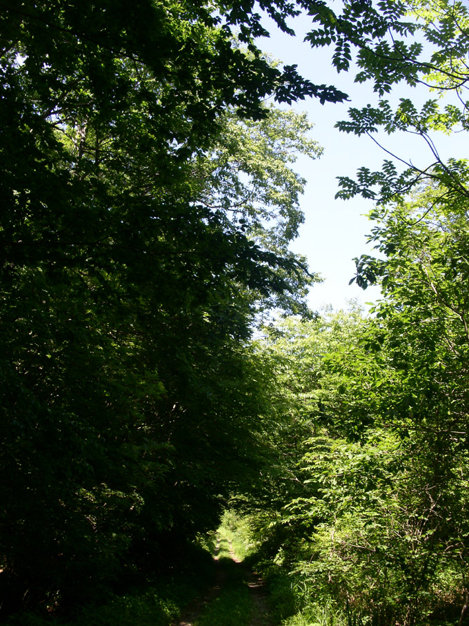 e0118274_21521722.jpg