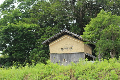 e0024081_1713792.jpg