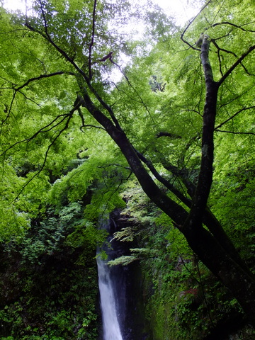 a0043982_19301420.jpg