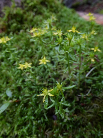 a0043982_19314480.jpg