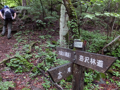 a0043982_19331452.jpg