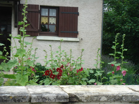 a0247585_23171417.jpg