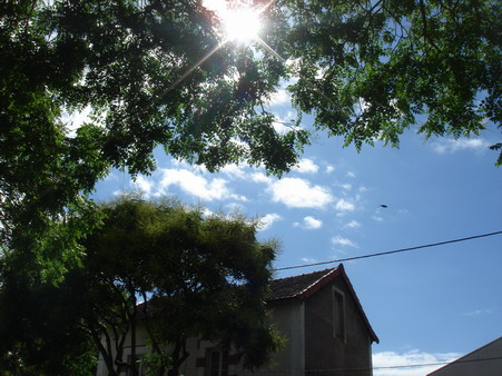 a0247585_2340392.jpg