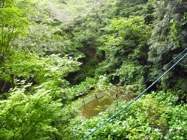 c0122788_4101851.jpg