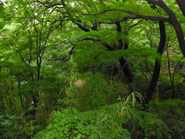c0122788_4111522.jpg