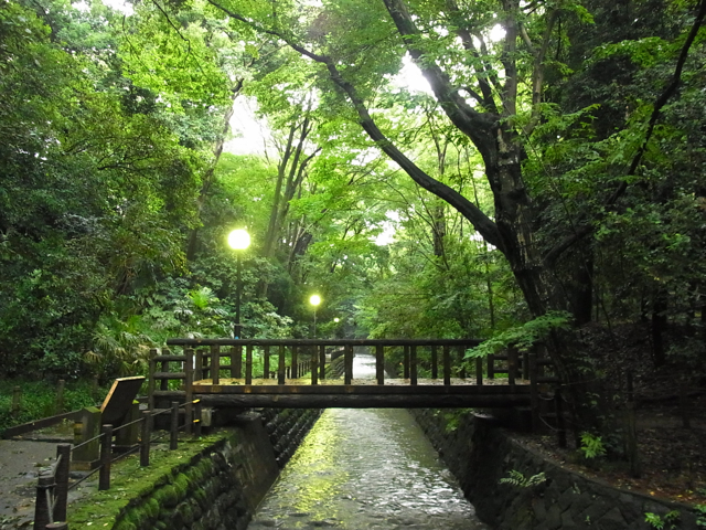 c0122788_4114182.jpg