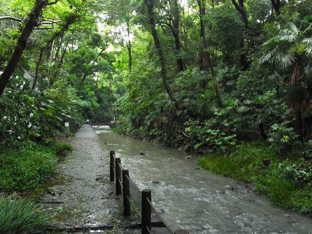 c0122788_412899.jpg