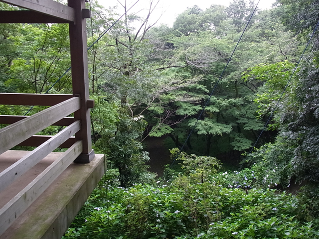 c0122788_454777.jpg