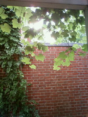 f0018790_835297.jpg
