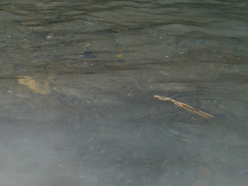 e0202393_10421819.jpg