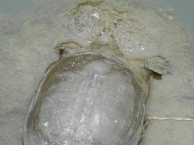 e0204795_16184392.jpg