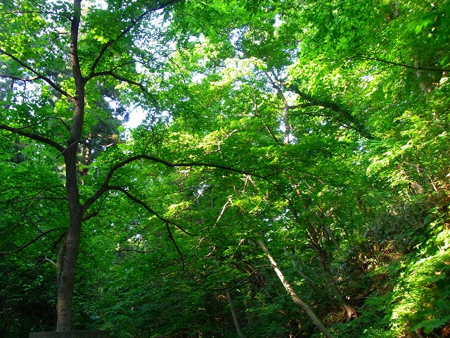 f0157901_11161915.jpg