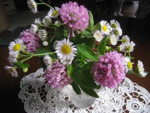 d0046702_6463848.jpg