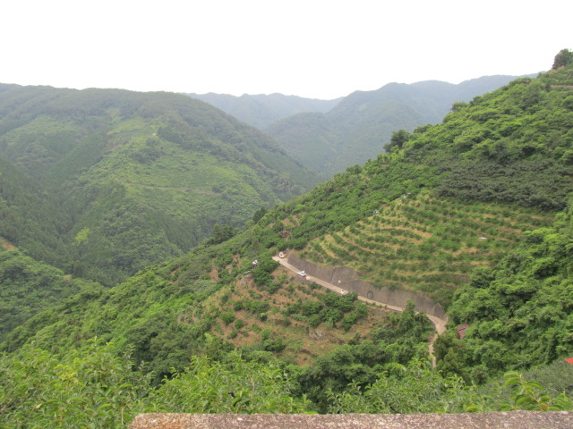 e0157602_12181112.jpg