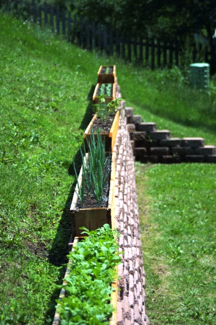 c0062603_12261224.jpg