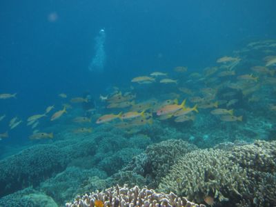 e0263905_912314.jpg