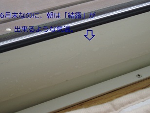 b0200310_756024.jpg