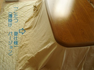 b0200310_8191149.jpg