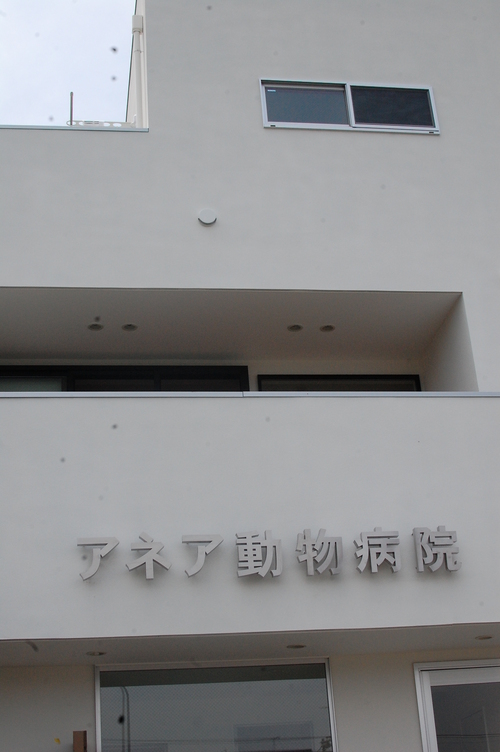 e0214513_17371399.jpg