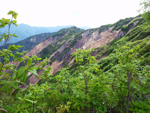 d0170615_23205519.jpg