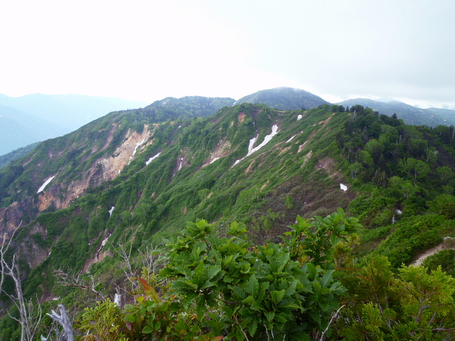 d0170615_23212665.jpg