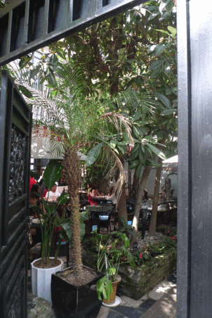e0157816_2355635.gif