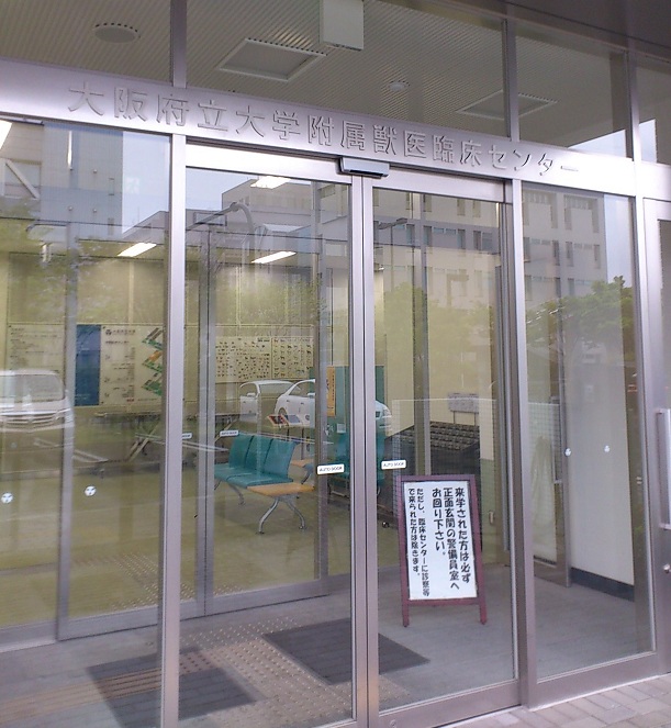 f0163116_2243610.jpg