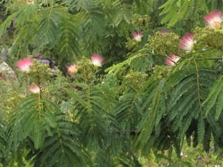 f0086618_22483264.jpg