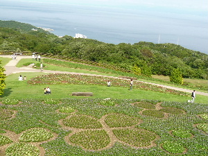 a0157619_23222913.jpg