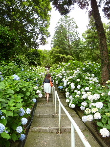 a0157619_23341016.jpg