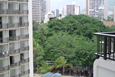 e0219520_15104715.jpg