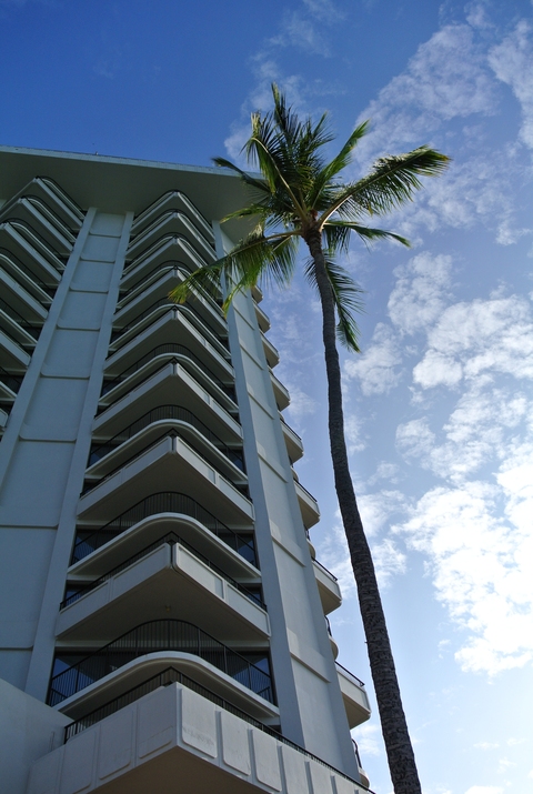 e0219520_1552979.jpg