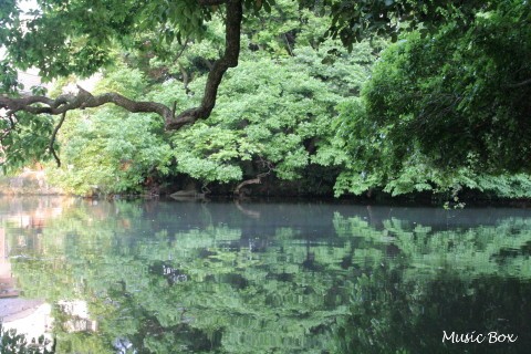 c0071221_10425444.jpg