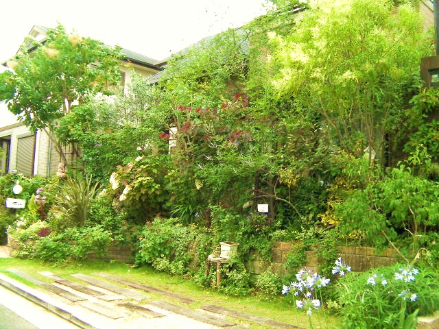 c0204121_1717431.jpg