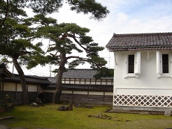 f0000521_0244384.jpg