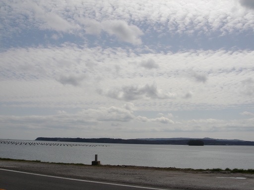 f0000521_0371535.jpg