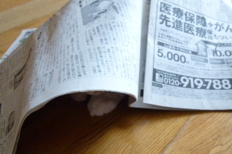c0013922_121833.jpg