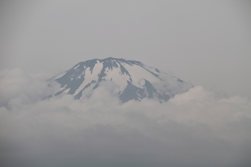 d0240223_334592.jpg