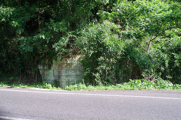 f0007926_11503085.jpg