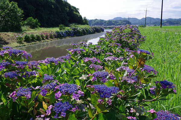 f0007926_11531834.jpg
