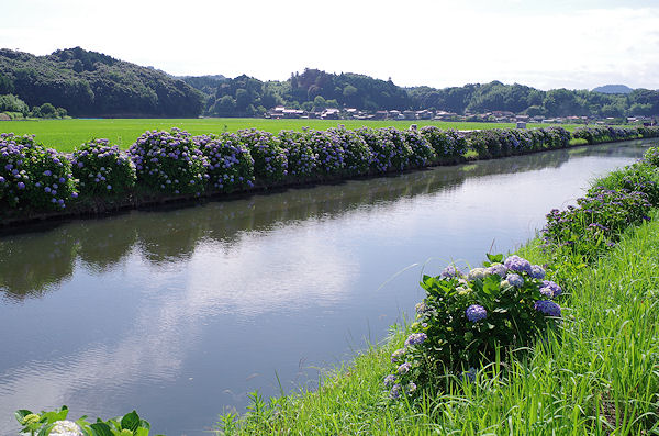 f0007926_11563572.jpg